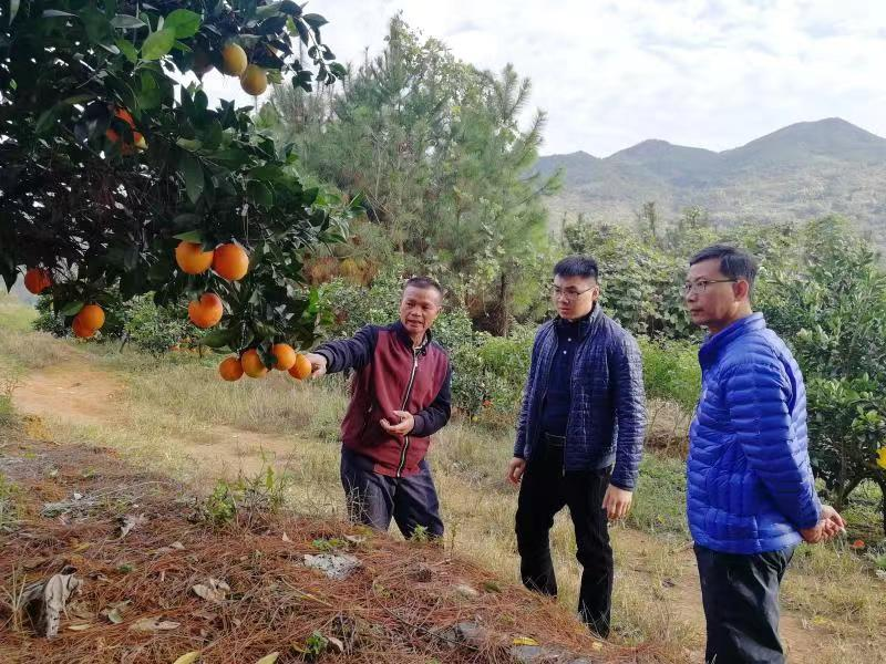脚下沾有多少泥土，心中就沉淀多少真情