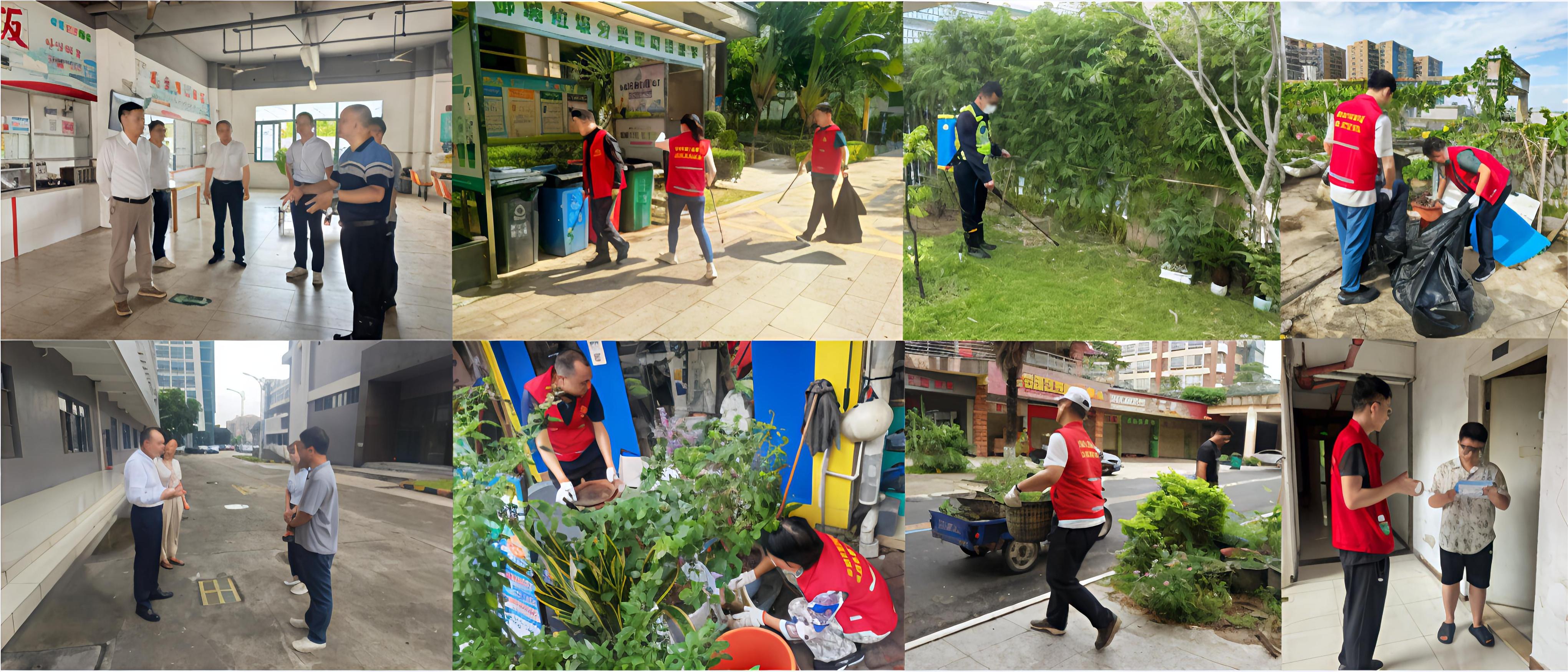 多措并举，内外联动！集团持续开展蚊媒传染病防控工作