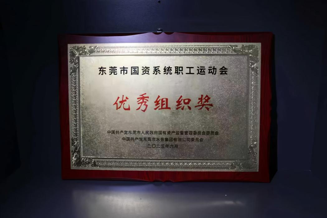 东莞市国资系统职工运动会 优秀组织奖