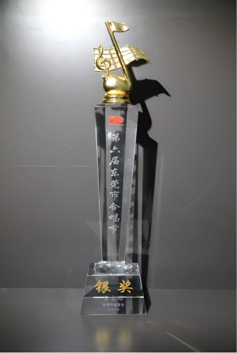 第六届东莞市合唱节企业组银奖