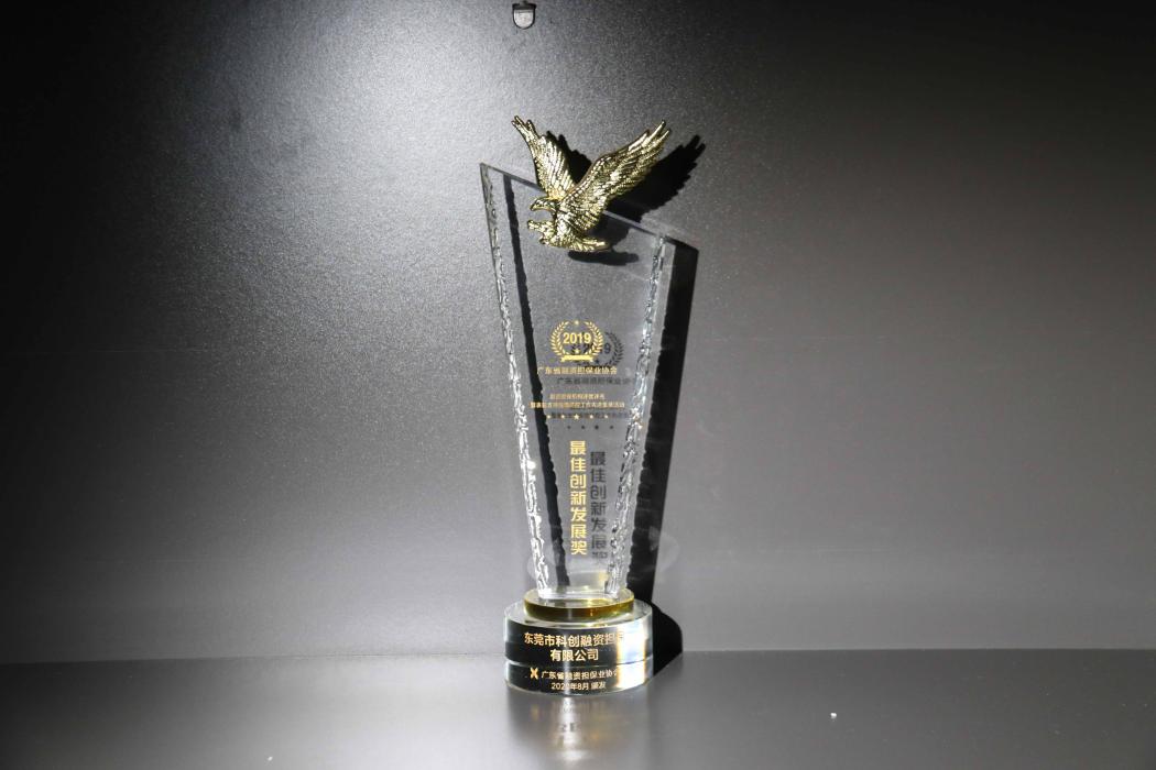 2019年“最佳创新发展奖”