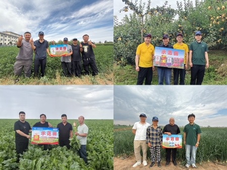 甘肃6163银河线路公司深入前端一线开展新媒体宣传与示范田走访调研工作