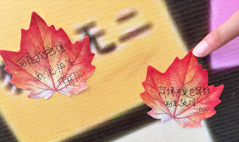 学生写的正向宣言