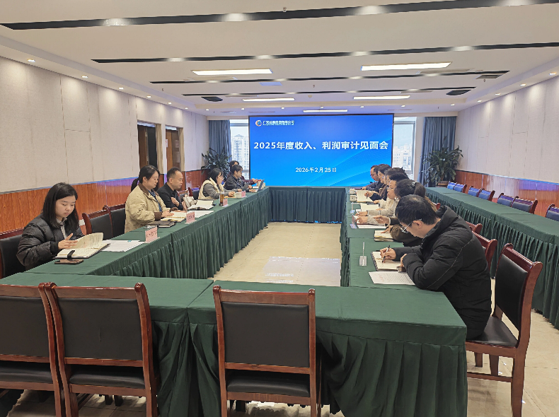 广元发展集团召开2025年度收入、利润专项审计见面会