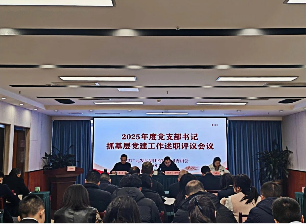 广元发展集团召开2025年度党支部书记抓基层党建工作述职评议会议