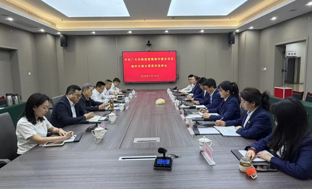创新党建引领  共建智慧城市——中共广元市新型智慧城市建设项目临时支部支委选举会顺利召开