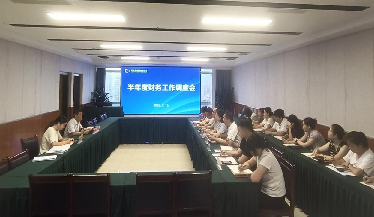 广元发展集团有限公司开展半年度财务工作调度会
