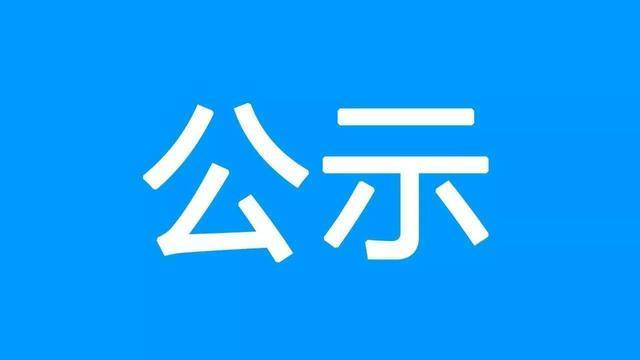 采购代理机构公开选项目中标公示