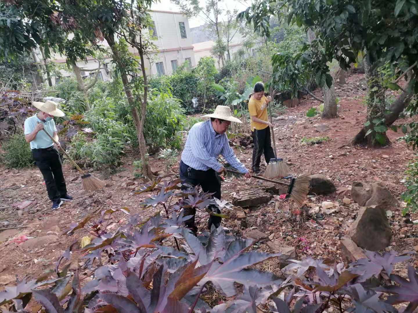 企鹅直播台球