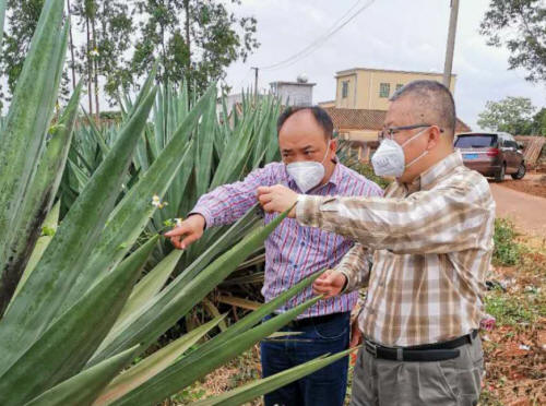 企鹅直播台球