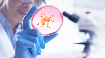 污染物及非法添加物检测