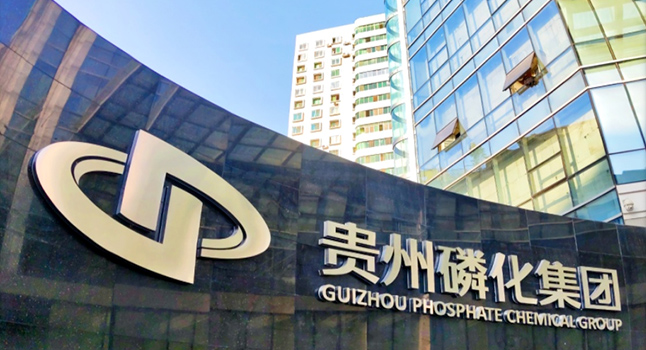 释放创意,赢取奖金!“磷青聚力”LOGO等你来设计!