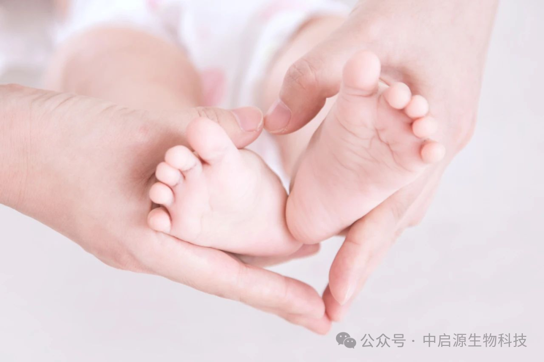 细胞科普丨从剪断脐带到-196℃：存储间充质干细胞流程全攻略！