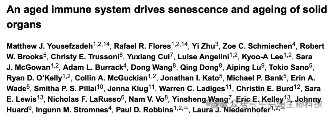 细胞科普丨Nature实锤：免疫系统老化会拖垮全身器官！NK细胞或成逆转衰老“主力部队”