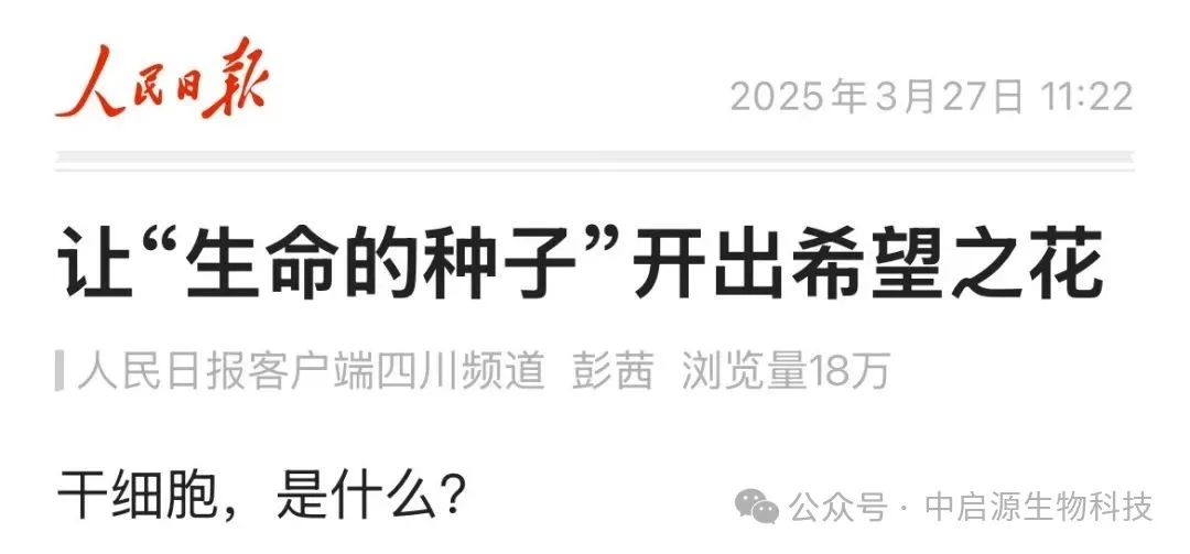 权威发布丨人民日报再次为干细胞正名，发表专题文章：《“让生命的种子”开出希望之花》