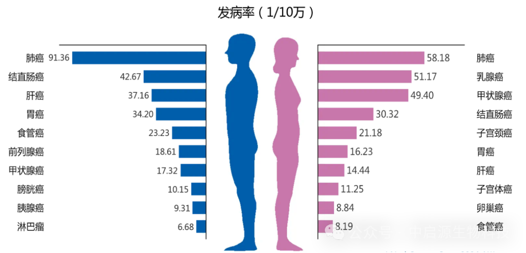 细胞科普丨全国肿瘤防治宣传周丨解码细胞科技：科学防癌新策略，开启健康生活新纪元