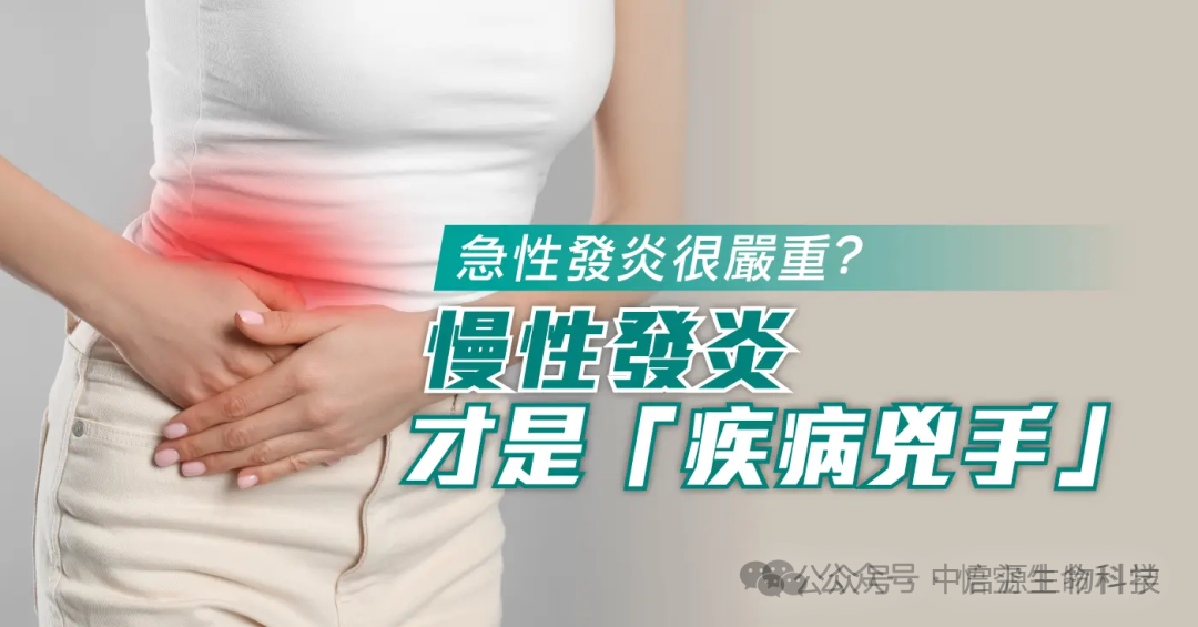 细胞科普丨间充质干细胞是如何平息人体内的慢性炎症的？