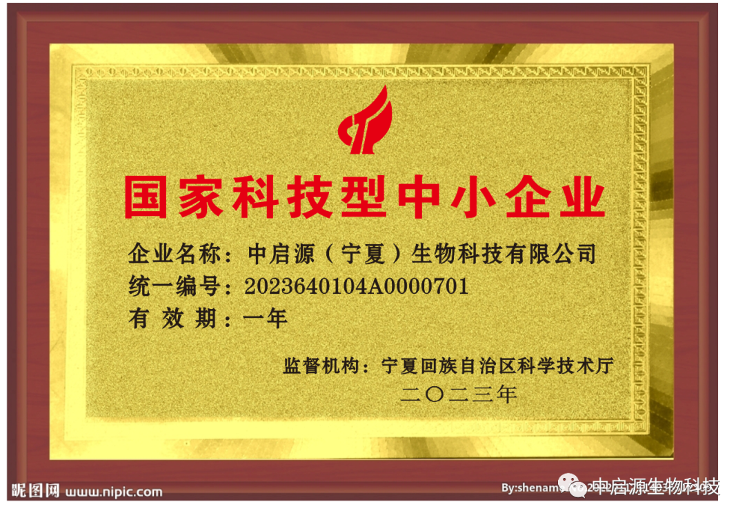 热烈庆祝中启源（宁夏）生物科技有限公司荣获“国家科技型中小企业”、 “自治区科技型中小企业” 称号