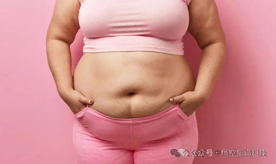 细胞科普丨为什么肥胖的人更容易感染和患癌？NK细胞的“沉睡”或是关键