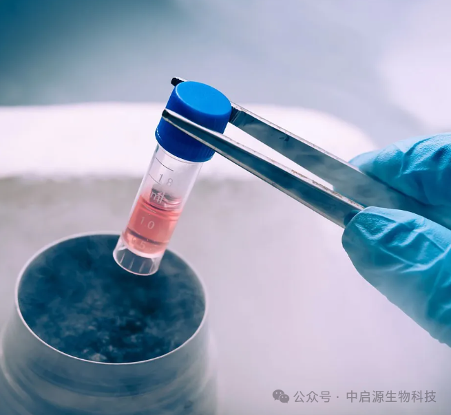 细胞科普丨为什么要存储细胞？留得青山在，不怕没柴烧