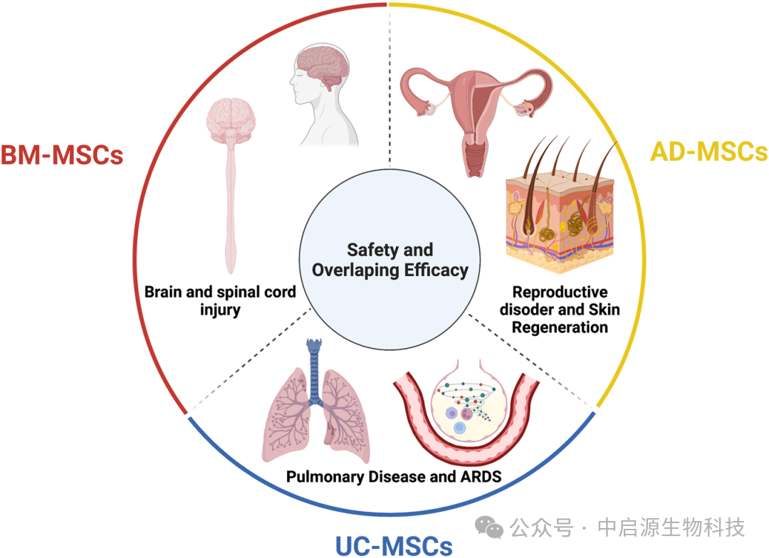 细胞科普丨干细胞疗法到底能治哪些病？Nature子刊：全球1426项临床试验综述揭晓答案