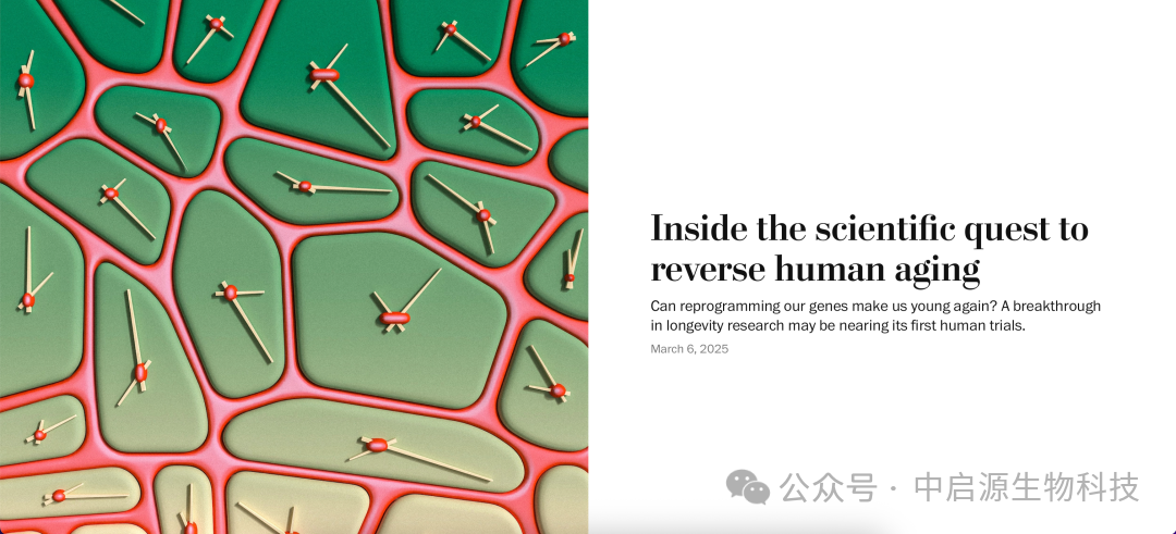 细胞科普丨华盛顿邮报：iPS细胞技术逆转衰老将开展临床试验，人类寿命有望延长30%