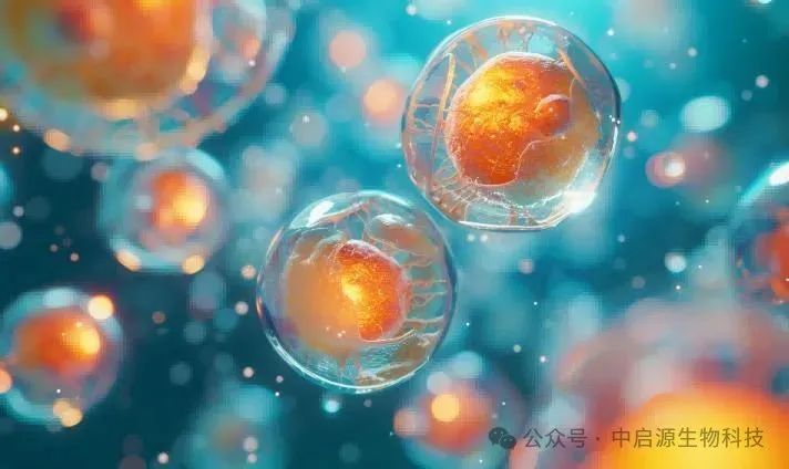 细胞科普丨从炎症、免疫到代谢，干细胞如何“多线清障”延缓衰老？