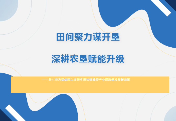 田间聚力谋开垦    深耕农垦赋能升级