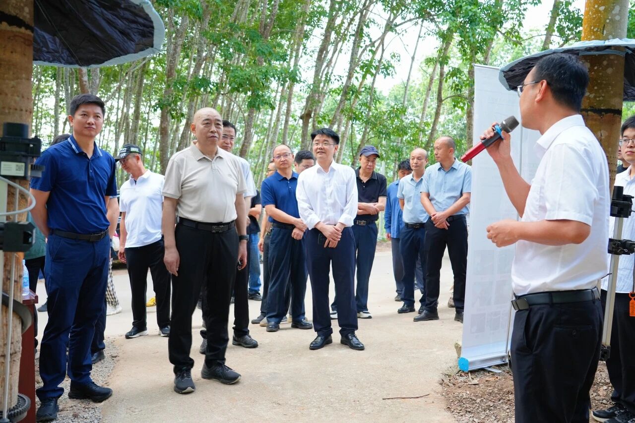 齐聚勐腊共话发展 | 天然橡胶标准化生产技术现场观摩交流会圆满举办                                                                                                                     勐腊县农垦集团有限责任公司                                                                                                  2026年5月29日 22:37               云南                                            6人                                                                                                                                                                                                   在小说阅读器读本章                                                          去阅读                                                                                                                                                     在小说阅读器中沉浸阅读