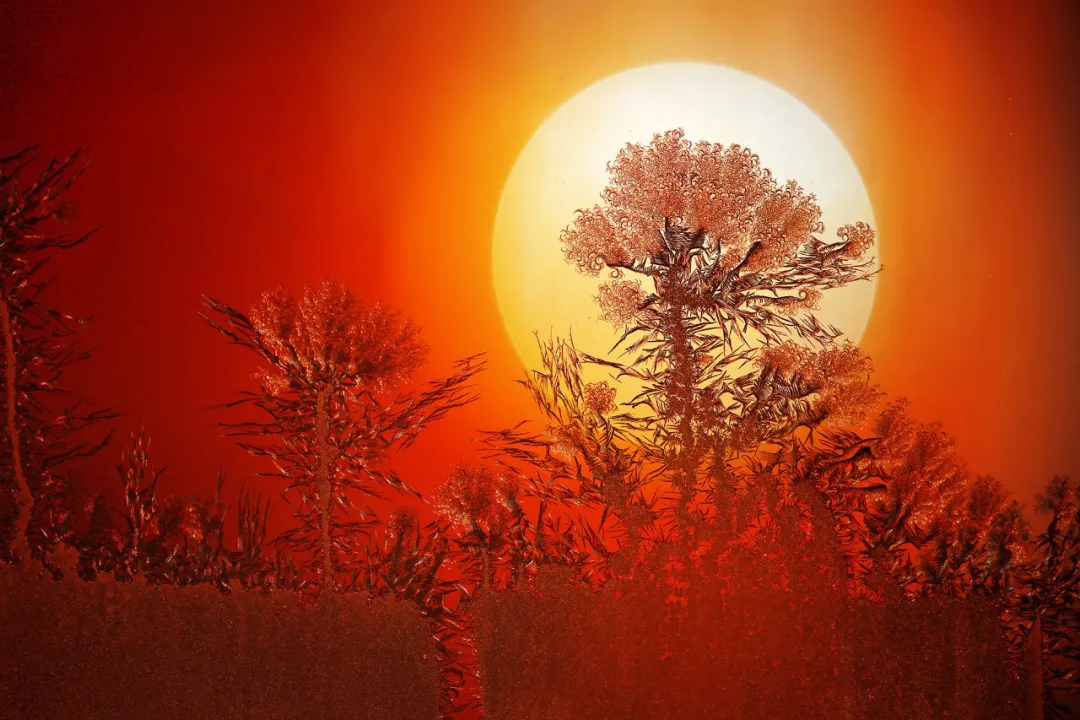 霜花雪韵 冰爽黑河《古绝·冰窗花之醉》《七绝·光耀乾坤（通韵）》