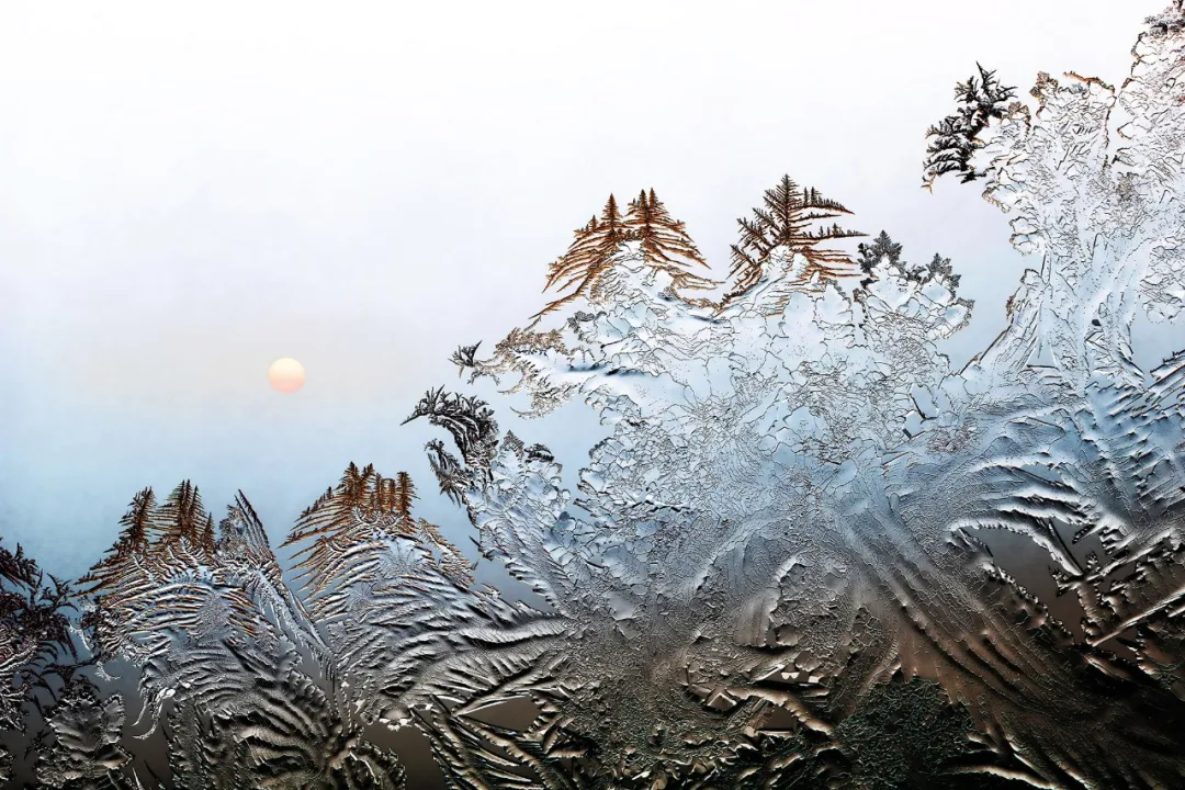 霜花雪韵 冰爽黑河《长相思·此景靓故园》《七律·冰花》