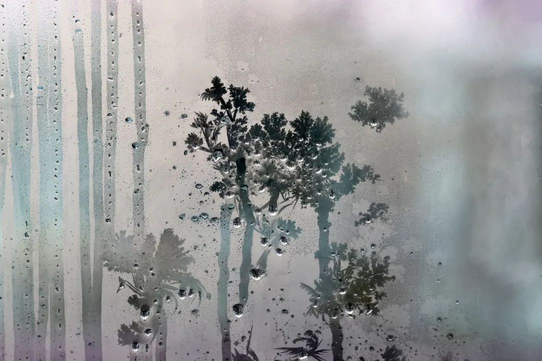 霜花雪韵 冰爽黑河《古绝·赞冰花摄影》《古绝·赞冰花摄影》