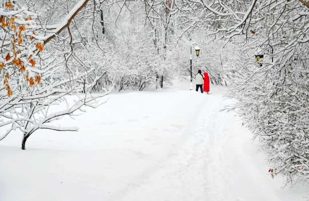 传历史记忆 展黑土风采丨“锦绣黑河 定格永恒”——王大明摄影作品线上展