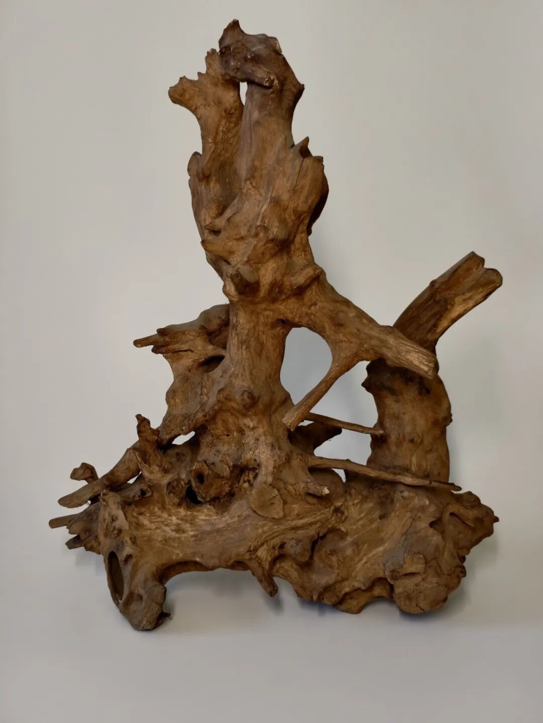 “传历史记忆，展黑土风采” 百姓藏品线上展（八）