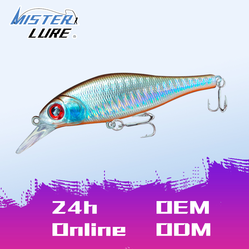 MISTER LURE Floating Minnow Lure 10g ABS Hard Bait