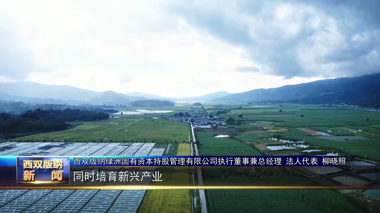 【稳经济 促发展】西双版纳州重点产业投资基金运行迈出“关键一步”重点布局“七大产业”赛道