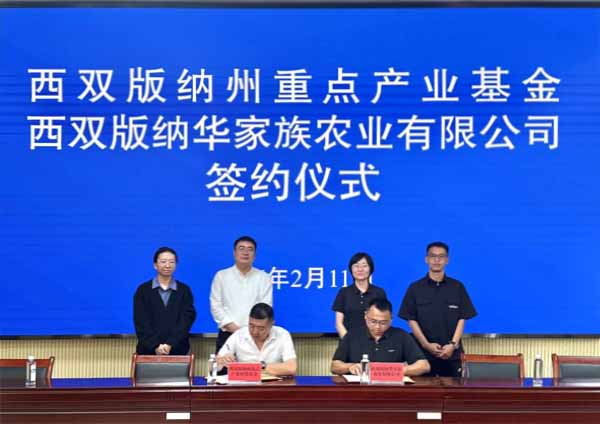 基金赋能雨林瑰宝，可可产业共筑新篇—— 西双版纳州重点产业投资基金 与西双版纳华家族农业有限公司正式签约