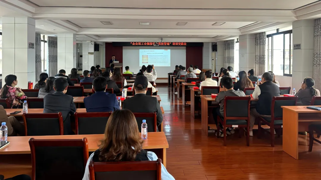 “企业用工合规指引与债权管理”培训交流会圆满举办