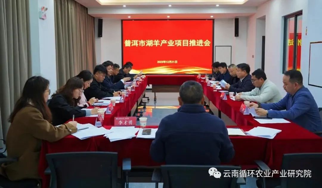 普洱市湖羊产业项目推进会顺利召开