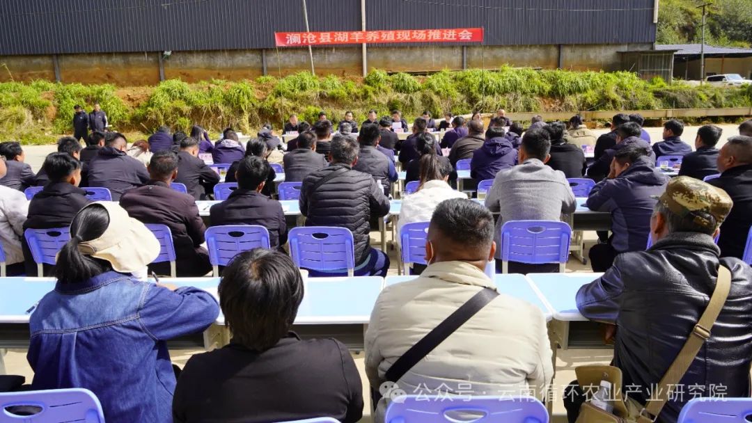 澜沧县湖羊养殖现场推进会顺利召开