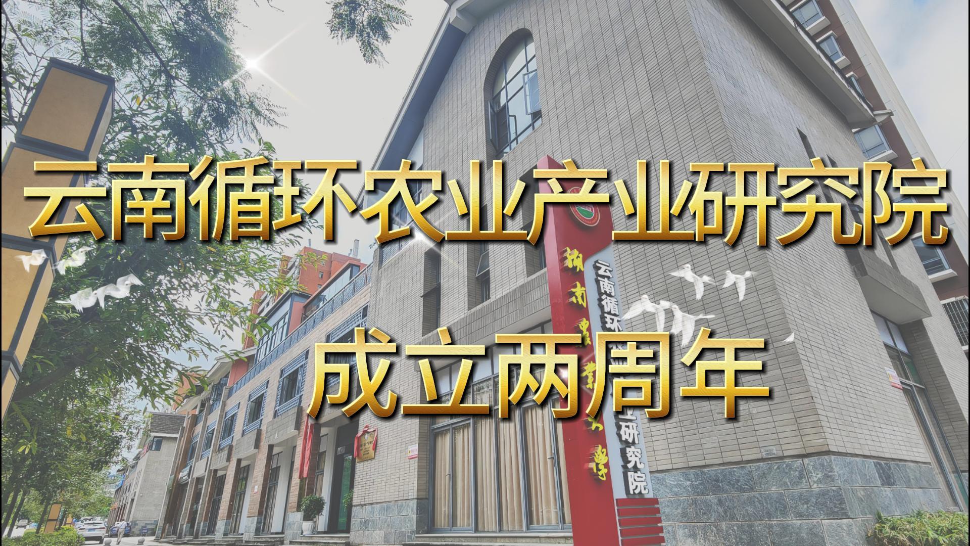祝贺云南循环农业产业研究院成立两周年