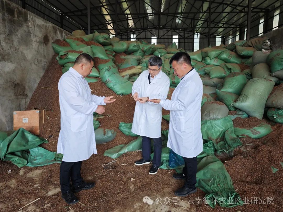 普洱学院党委副书记，院长马文会调研研究院特色产业示范基地