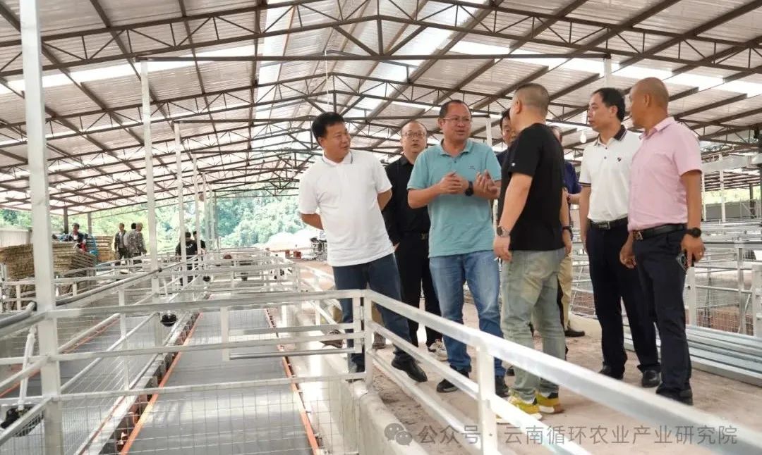 江城县委书记胡兴华调研研究院高原特色农业产业示范基地