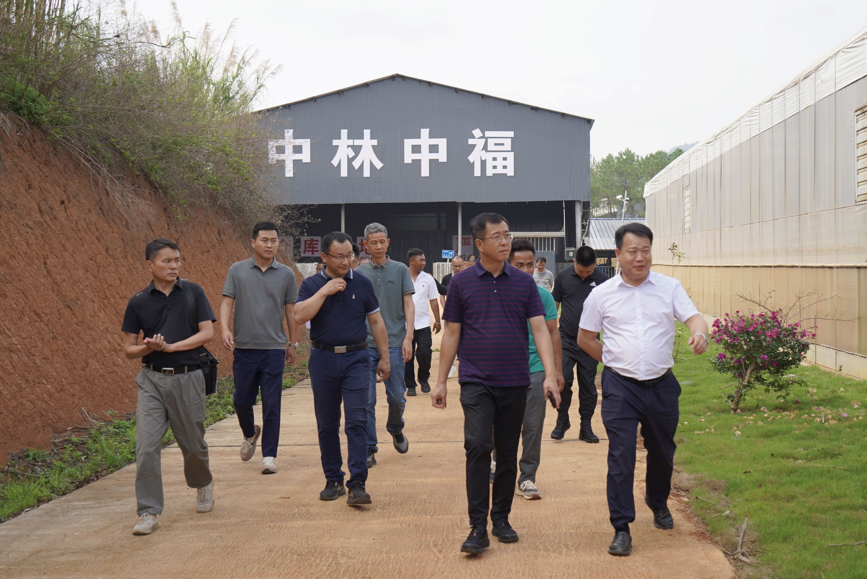 夯实特色产业基础 做大做强湖羊产业