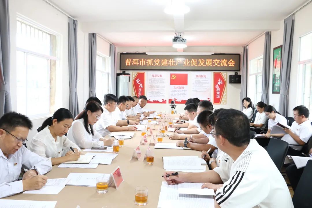 普洱市召开抓党建壮产业促发展交流会