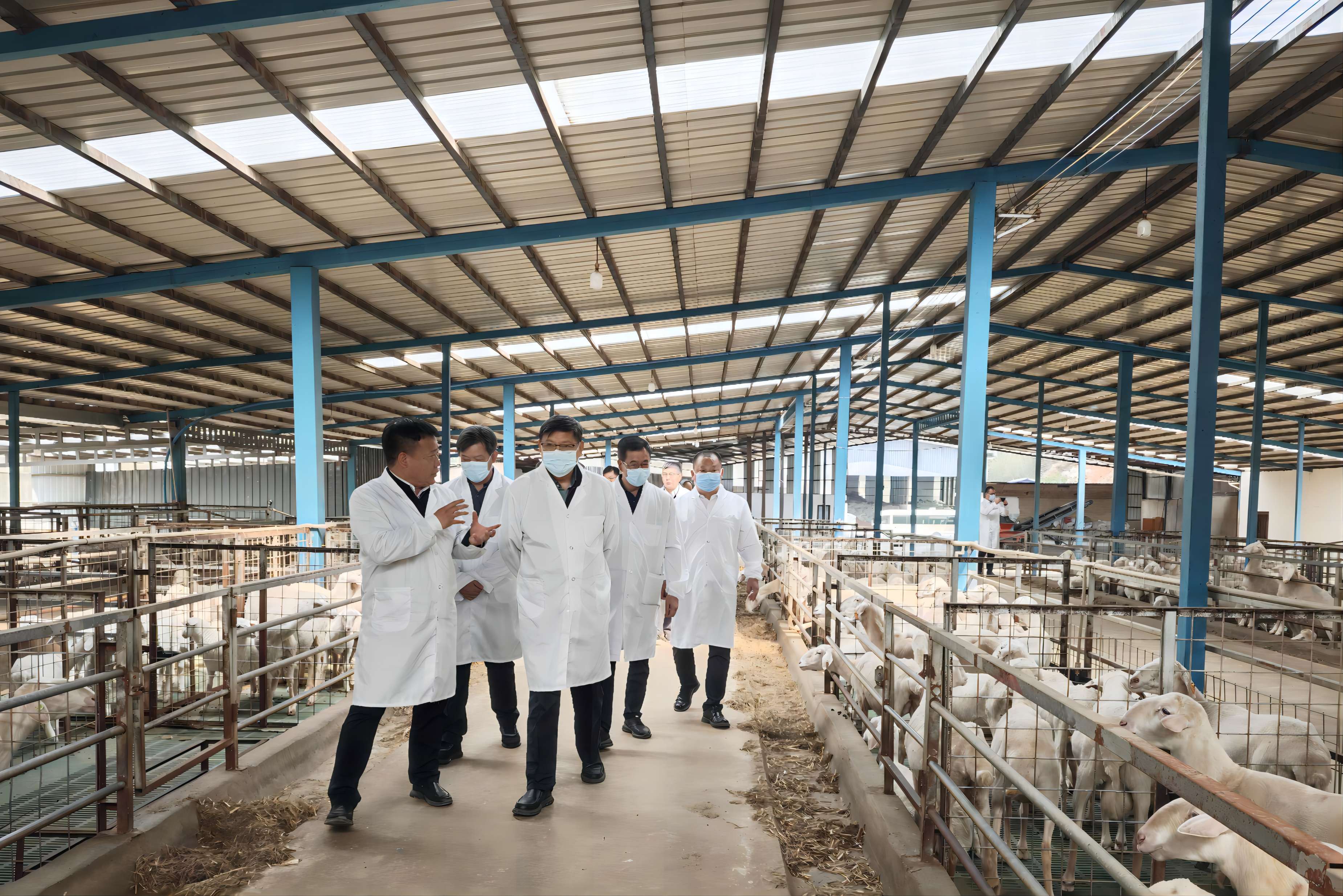 第二十届中央委员、中国工程院党组书记、院长李晓红院士率队调研研究院高原特色农业产业示范基地