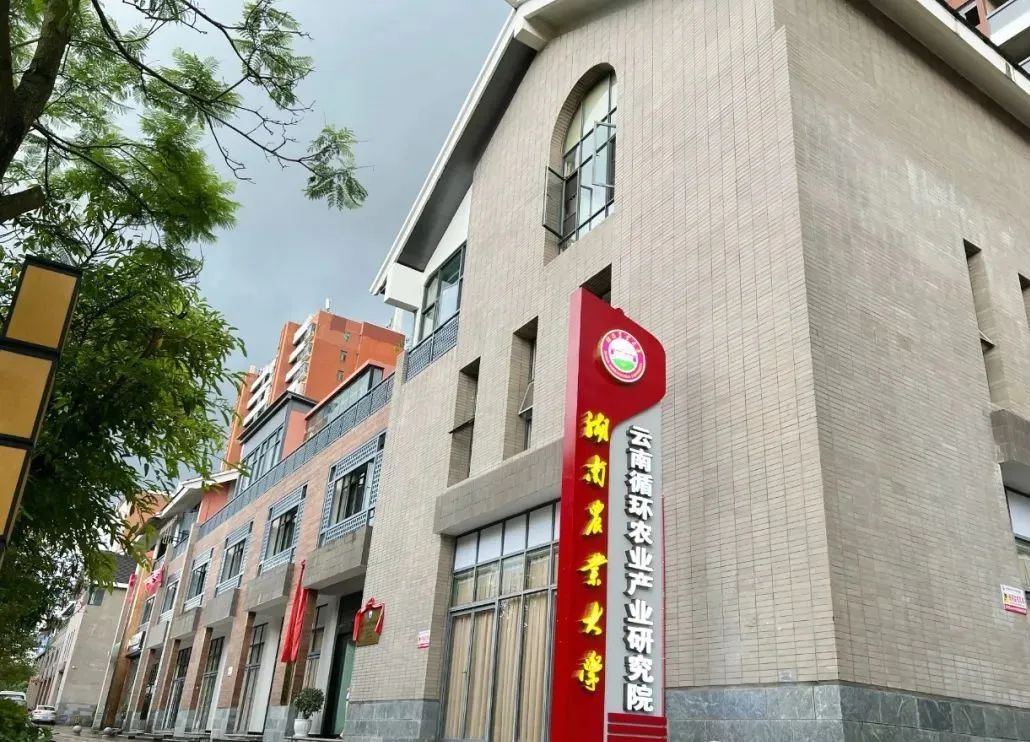 云南循环农业产业研究院诚聘英才公告