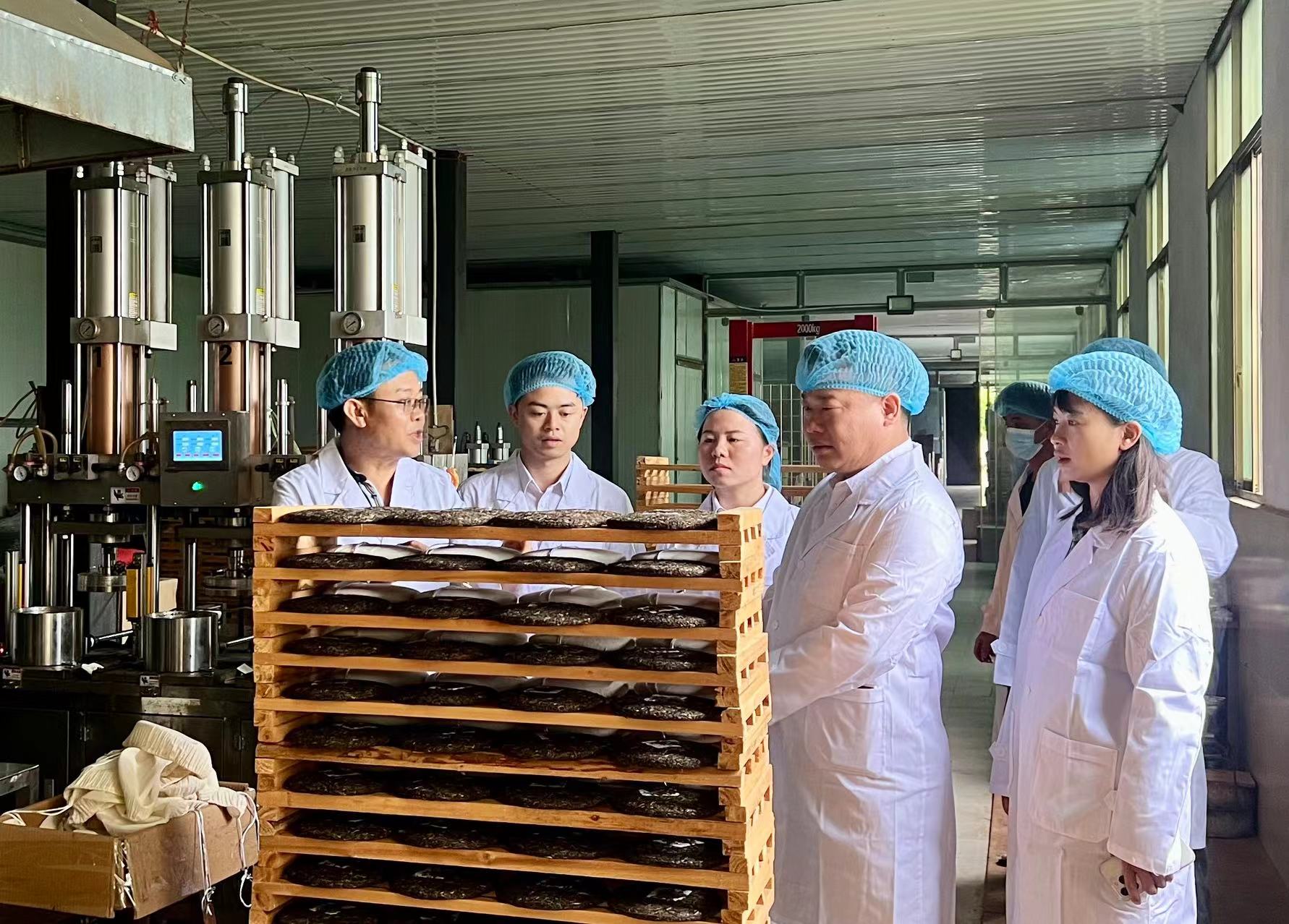 聚焦产业持续发力 主动服务助力发展