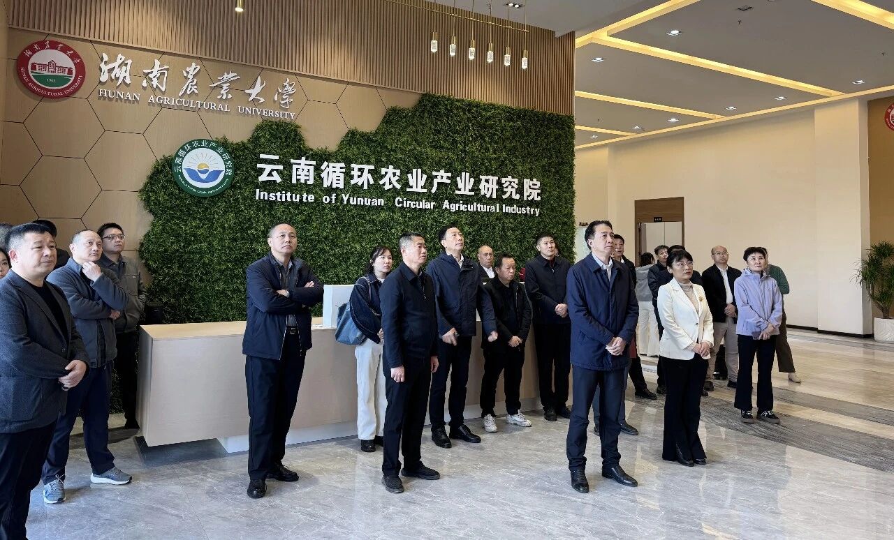 湖南农业大学知识产权与技术转移分中心高质量发展建设工作交流会成功举行