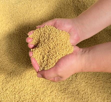 Wengfu Zijin's New Compound Fertilizer Enters Mass Production and Market Launch